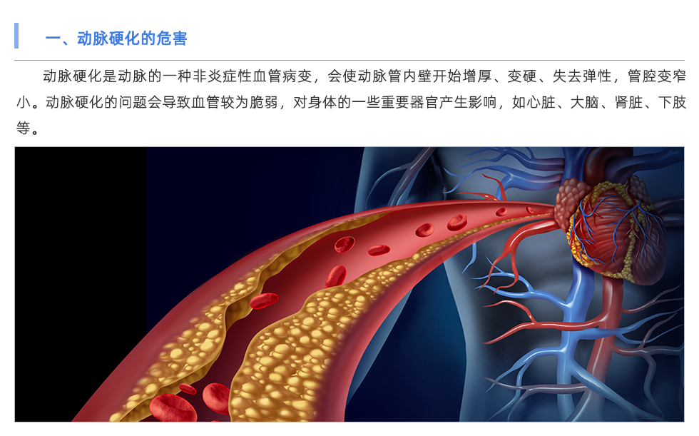 動脈硬化檢測儀