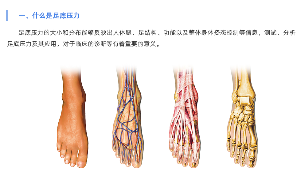 足底壓力分析系統(tǒng)