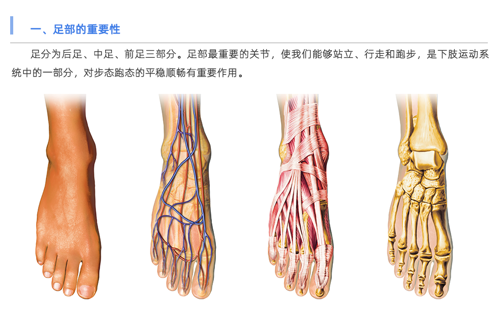 定制鞋墊