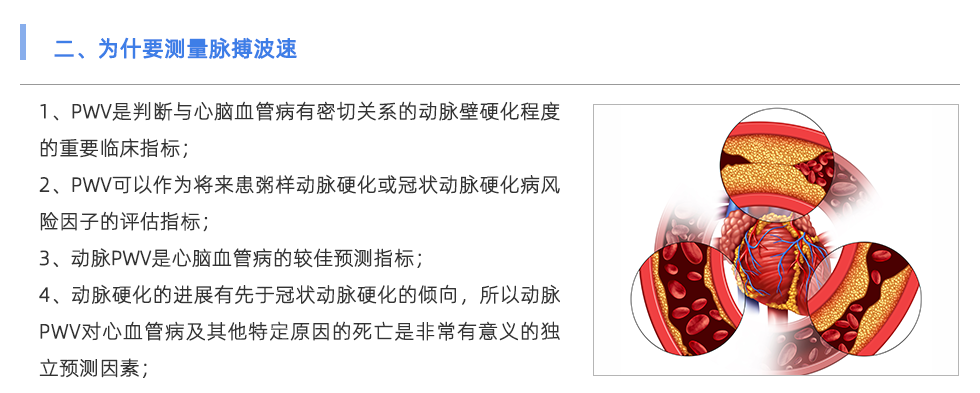 脈搏波速測定儀