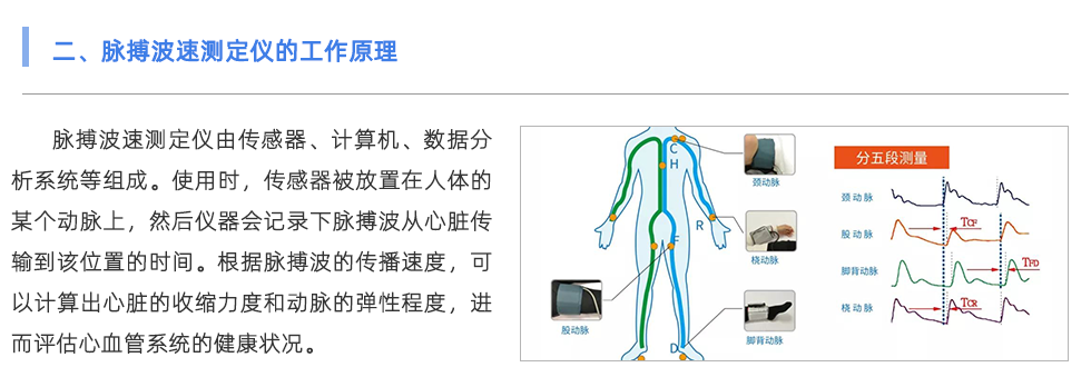 脈搏波速測定儀