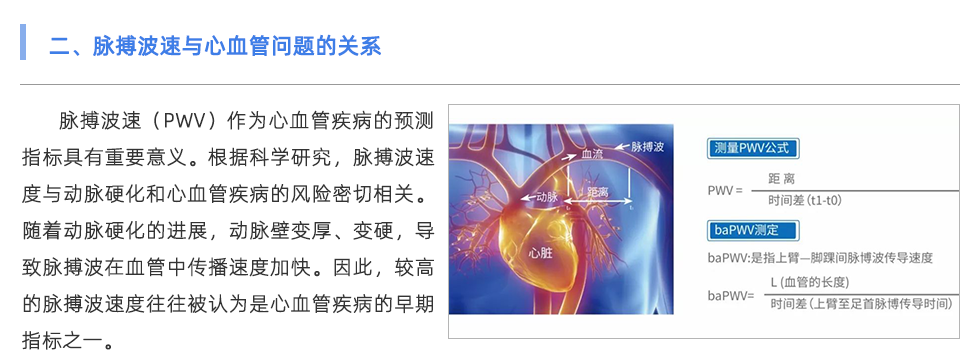 脈搏波速測定儀