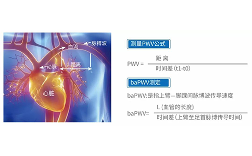 動(dòng)脈硬化檢測儀