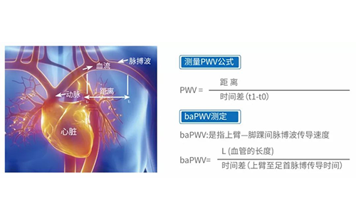 脈搏波速測定儀